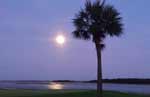 Charleston, South Carolina Golf Community