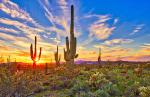 Maricopa, Arizona Gated Community