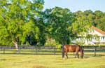 Bluffton, South Carolina Equestrian Community