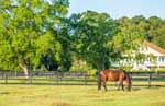 Bluffton, South Carolina Tennis Community