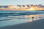 Vero Beach, Florida Recreation Community