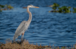 Boynton Beach, Florida Tennis Community