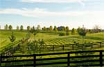 Ocala, Florida Private Golf Course Community