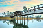 Wilmington, North Carolina Tennis Community