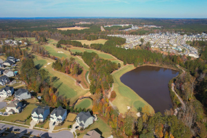 Return to the 12 Oaks Feature Page