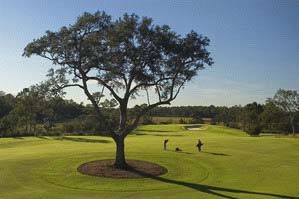 Luxury golf community on Daniel Island in historic Charleston, South Carolina. See photos and get info on real estate for sale.