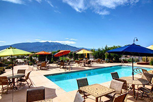 Return to the Alegria Feature Page