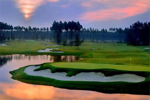 Amelia National Golf & Country Club is a golf community in Fernandina Beach, Florida, with a Tom Fazio signature golf course. See photos and get real estate information.