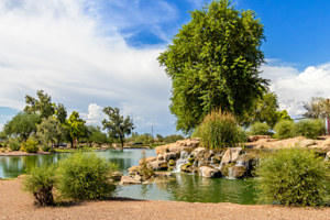 Return to the Anthem at Merrill Ranch Feature Page