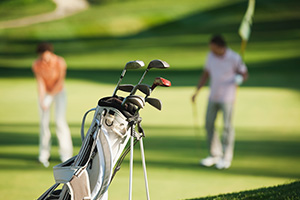 Return to the Bellasera Feature Page