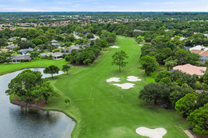 Return to the Bent Pine Feature Page