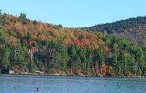 Return to the Centennial Bluff Feature Page