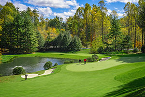 Return to the Champion Hills Feature Page