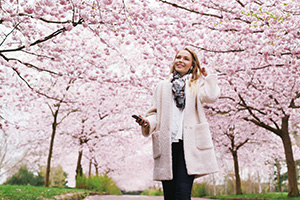 Return to the Courts of Clarksburg Feature Page