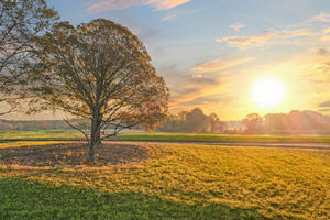 Return to the Cresswind at Rocky River Feature Page