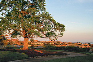 Cypress at Serrano is a gated new home community in El Dorado Hills, California. See photos and get info on homes for sale.