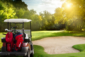 Return to the DC Ranch Feature Page