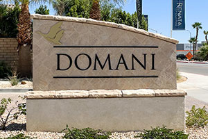 Return to the Domani Feature Page