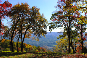 Fisher Mountain is a premier golf community in Franklin, West Virginia. Learn more about this WV mountain community and explore amenities, social opportunities, real estate, and request more information.