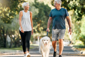 Return to the Founders Landing Feature Page