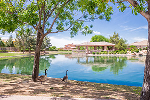 Return to the Fulton Ranch Feature Page