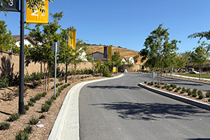 Return to the Gavilán Ridge Feature Page