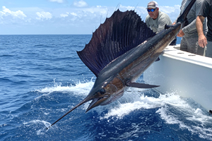 Return to the Gulf Harbour Yacht & Country Club Feature Page