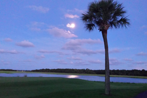 Return to the Kiawah River Estates Feature Page