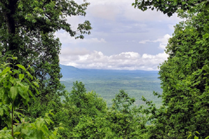 Laurel Mountain Preserve is a gated mountain community in Black Mountain, North Carolina, just outside of Asheville. See photos an get info on homes for sale.