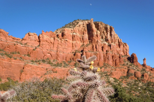 Return to the Mirabel Feature Page