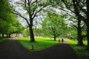 Return to the Parkhaven Feature Page