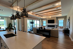 Return to the Regency at Esperanza Feature Page