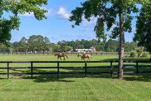 Rose Hill Plantation is a gated community in Bluffton, South Carolina, offering championship golf, equestrian facilities, and a variety of recreational amenities. See photos and get info on homes for sale.