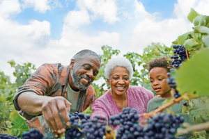 Return to the Saratoga Springs Feature Page