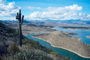 Return to the Scottsdale Heights Feature Page