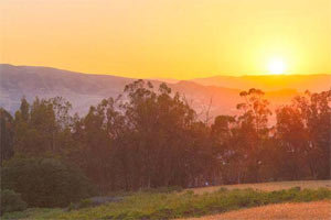 Shea Homes® at Rice Ranch is an active adult community in Santa Barbara County, CA. See photos and get info on homes for sale.