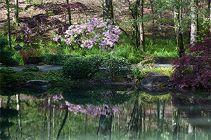 Return to the Signature Club at Greenview Feature Page