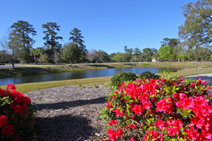 South Island Plantation is a waterfront gated community in Georgetown, South Carolina. See photos and get info on new homes for sale. 
