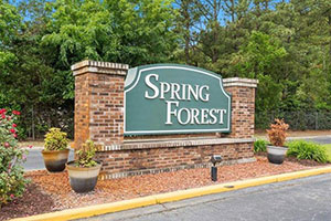 Return to the Spring Forest Feature Page