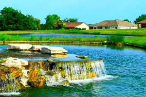 A 55+ retirement community near Austin, Texas, Sun City Texas offers golf, culture and exciting night life. See photos and get real estate info.