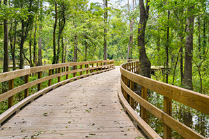 Return to the The Bluffs on the Cape Fear Feature Page