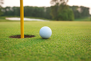 Return to the The Courtyards at Waverly Woods Feature Page