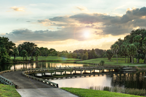 The Founders Club is a gated, golf, and retirement community in Sarasota, FL. See photos and get info on homes for sale.