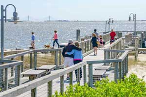 Return to the The Peninsula on the Indian River Bay Feature Page