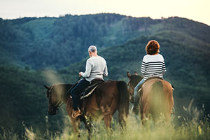 Return to the The Preserve at Wolf Laurel Feature Page