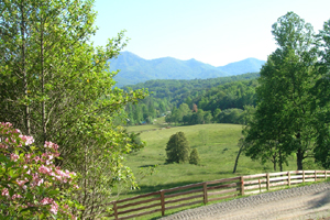 The Settlement at Thomas Divide in Bryson City, North Carolina - This mountain community in the mountains of Western Carolina borders Great Smoky Mountains National Park and is just 10 minutes from downtown Bryson City. Amenities include a community center with lodging, equestrian facilities, and trails for walking, biking, and horseback riding. Residents also have easy access to more than 500 miles of trails, trout fishing streams, whitewater rafting, boating, and more. Lots priced from $51,000 to $450,000; Homes priced from $499,000.