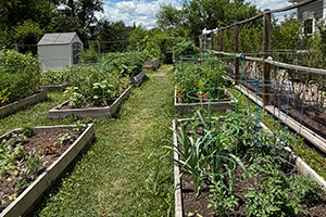 Return to the The Village at Cabin Branch Feature Page