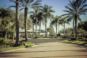 Return to the Valencia Cove Feature Page