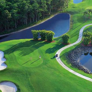 Vineyards is a gated golf and country club community in Naples, FL. See photos and get info on homes for sale in this Southwest Florida community.