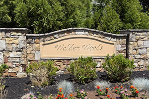 Return to the Walden Woods Feature Page